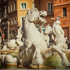 photo "Rome 5638"