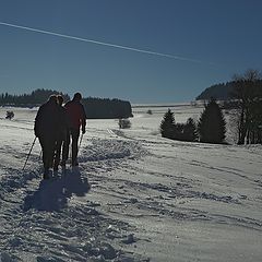 photo "Nordic Walking"