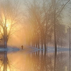 photo "утро солннце свет вода"