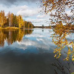 фото "Окунулись в осень..."