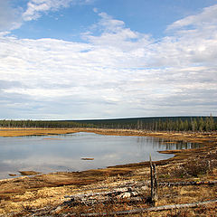 фото "Весенние разливы"