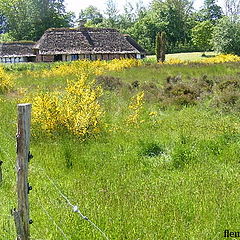 photo "Landscape"