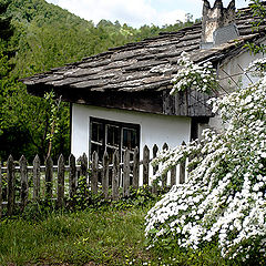 photo "Старый дом"