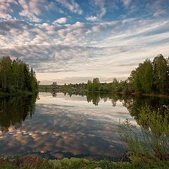 фото "Время прислушаться к пению птиц..."