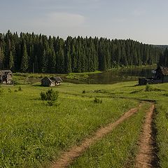 фото "Луг"