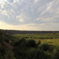 photo "Quarry sand mining (closed)"