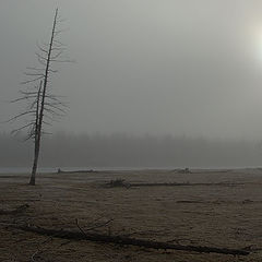 фото "Предзимье в Приполярье 2"