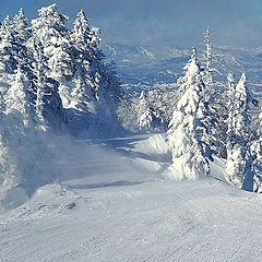 фото "Заметает."