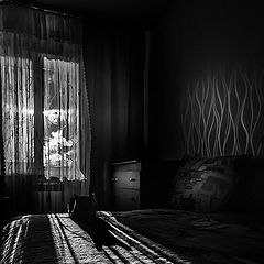photo "***"