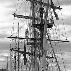 фото "sailing ship"