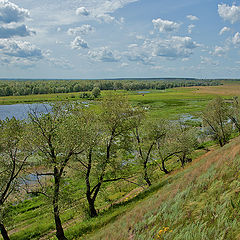 фото "Родные просторы"