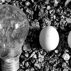 фото "light in the tunnel"