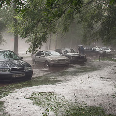 photo "Storm in July"