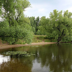 фото "Тишина"