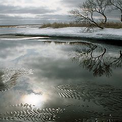 фото "Пейзаж_Весна на р. Большая"