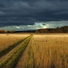 фото "Накрыло"