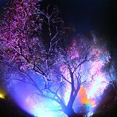 фотоальбом "TWISTΞD CELEBRΔTIONS"