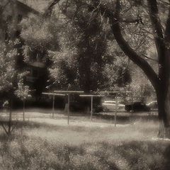 photo "***"