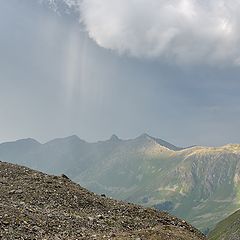 фото "Диалог."