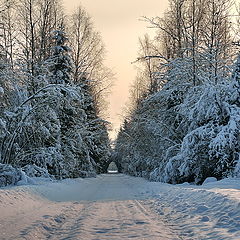 фото "Тоннель"