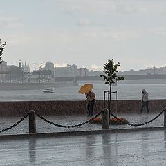 фото "Такое лето"