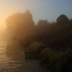 фото "Утро туманное"
