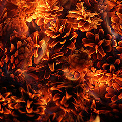 photo "cones in hell"