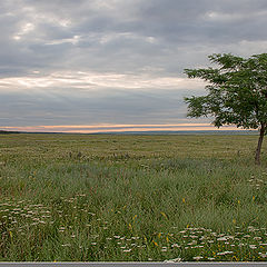 фото "Акварели лета ..."