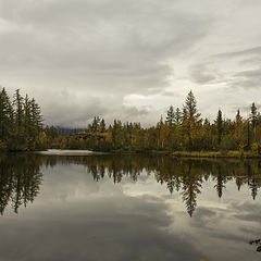 photo "Заполярье, осень."