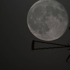 фото "Full Moon"