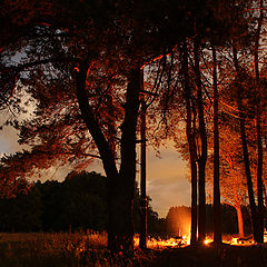 photo "Night campfire"