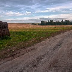 фото "Сто дождей пройдёт над миром, сто порош..."