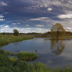 фото "Соло"