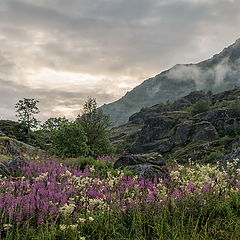 фото "Вечереет"