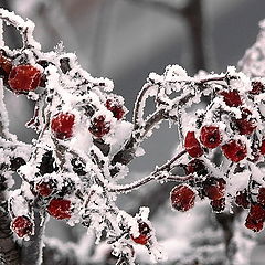 photo "***"