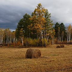 фото "Уж небо осенью..."