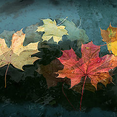 фото "Осенние листья"