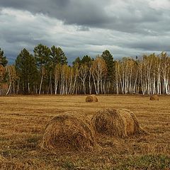 фото "Осеннее"