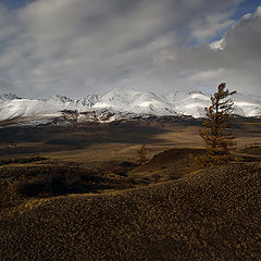 фото "Курайский хребет"