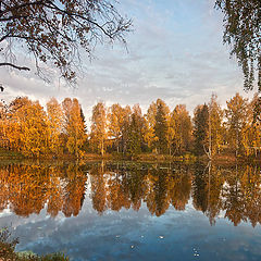 фото "Рыжая подружка"