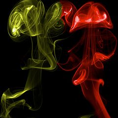 photo "***"
