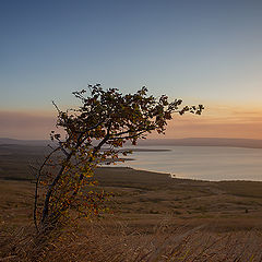 фото "Вечерние зарисовки ..."