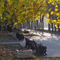 фото "осень в парке"