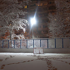 фото "Зимний сон"