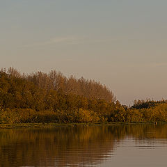 photo "***"