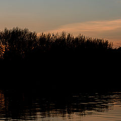 photo "***"