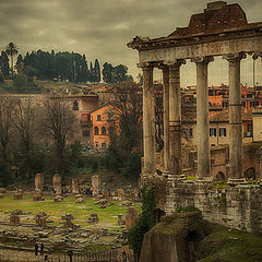 фото "Rome 4487"