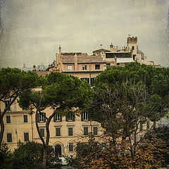 photo "Rome 4541"