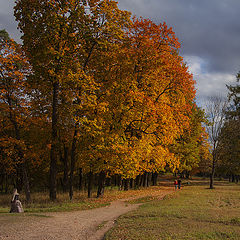 фото "Рыжая осень"