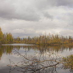 photo "Уходящая осень."